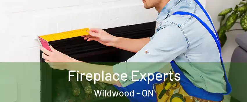 Fireplace Experts Wildwood - ON