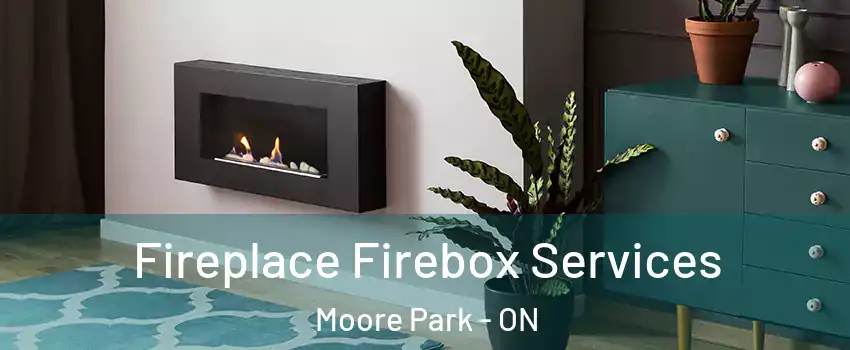 Fireplace Firebox Services Moore Park - ON
