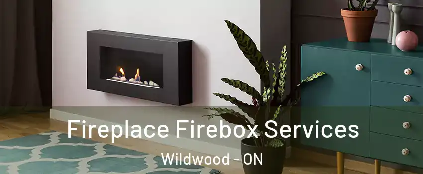 Fireplace Firebox Services Wildwood - ON