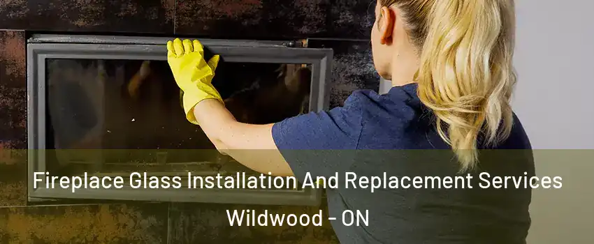 Fireplace Glass Installation And Replacement Services Wildwood - ON