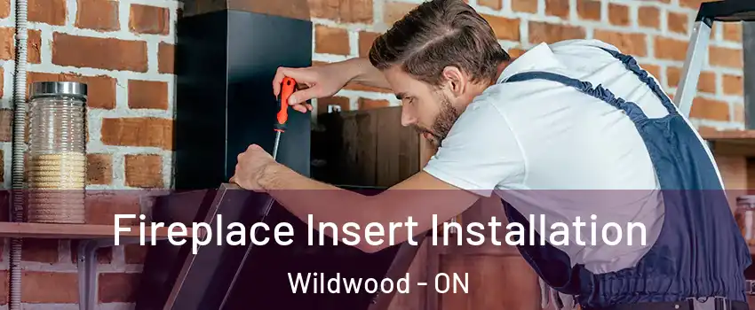  Fireplace Insert Installation Wildwood - ON