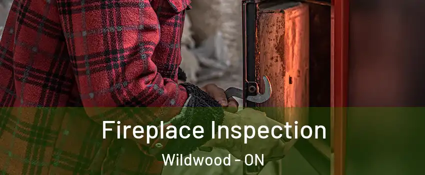  Fireplace Inspection Wildwood - ON