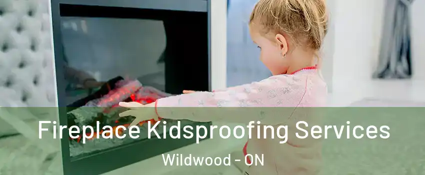  Fireplace Kidsproofing Services Wildwood - ON