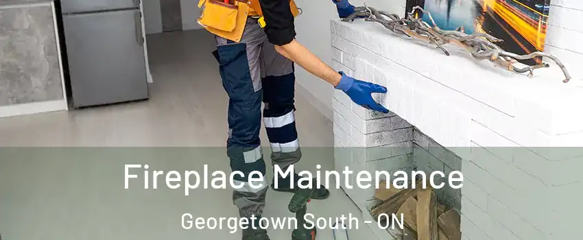  Fireplace Maintenance Georgetown South - ON