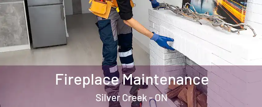 Fireplace Maintenance Silver Creek - ON