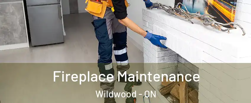  Fireplace Maintenance Wildwood - ON