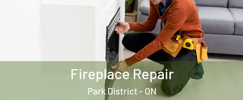 Fireplace Repair Park District - ON