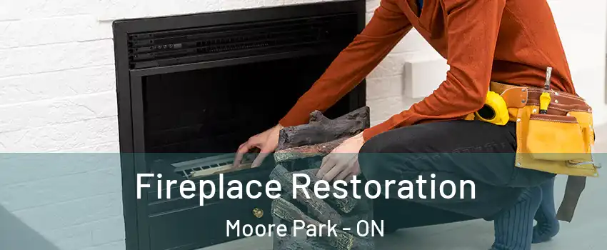 Fireplace Restoration Moore Park - ON