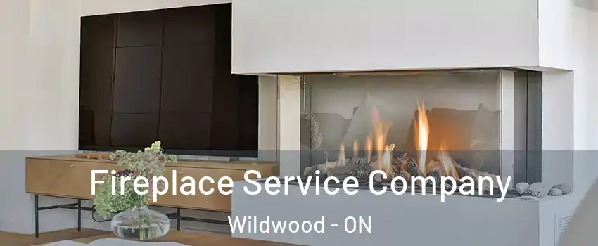 Fireplace Service Company Wildwood - ON