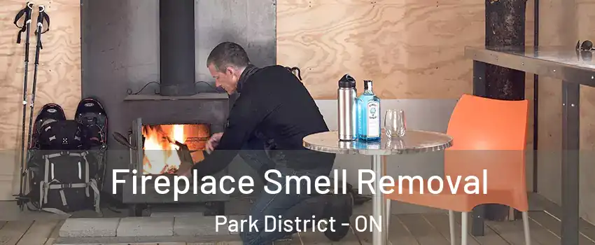 Fireplace Smell Removal Park District - ON