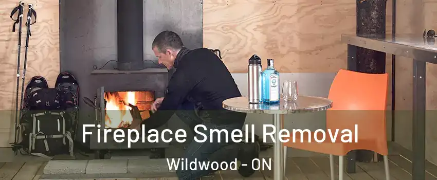  Fireplace Smell Removal Wildwood - ON