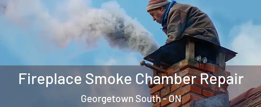  Fireplace Smoke Chamber Repair Georgetown South - ON