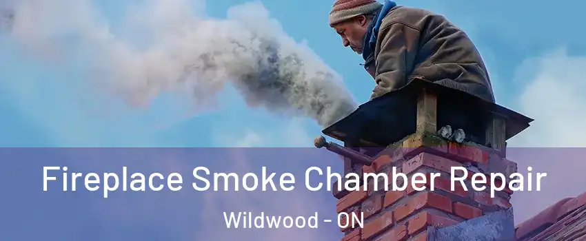 Fireplace Smoke Chamber Repair Wildwood - ON