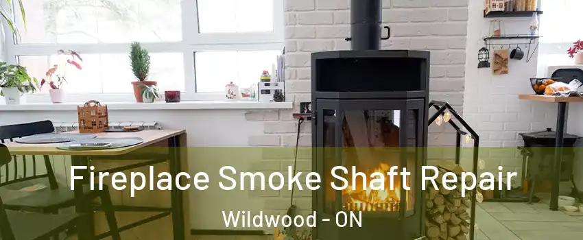 Fireplace Smoke Shaft Repair Wildwood - ON