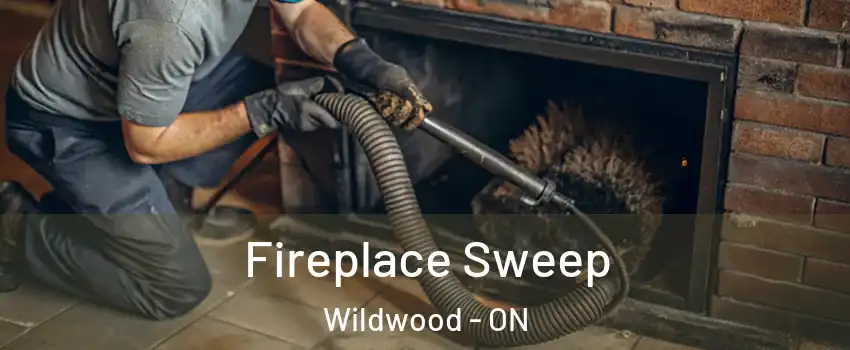 Fireplace Sweep Wildwood - ON