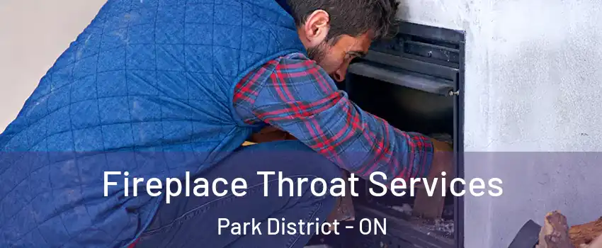 Fireplace Throat Services Park District - ON