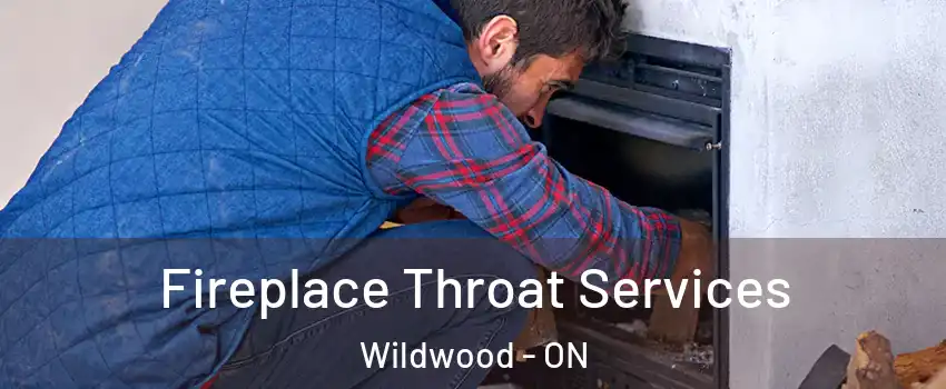  Fireplace Throat Services Wildwood - ON