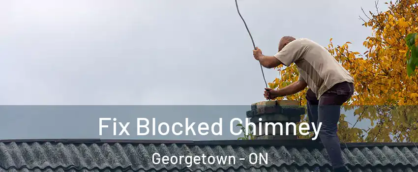 Fix Blocked Chimney Georgetown - ON