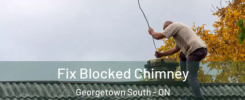 Fix Blocked Chimney Georgetown South - ON
