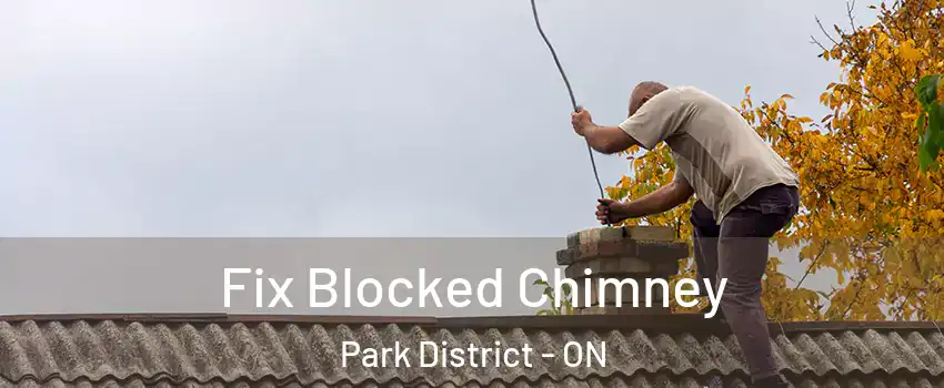  Fix Blocked Chimney Park District - ON