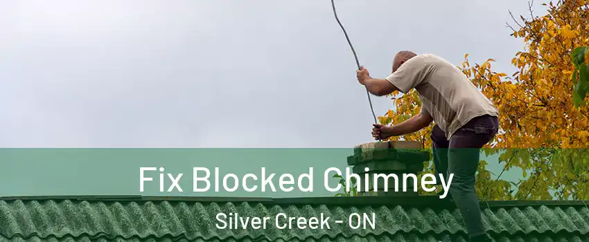 Fix Blocked Chimney Silver Creek - ON