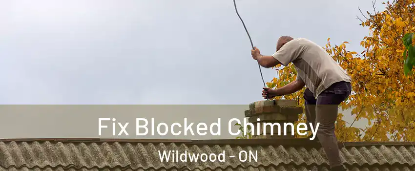  Fix Blocked Chimney Wildwood - ON