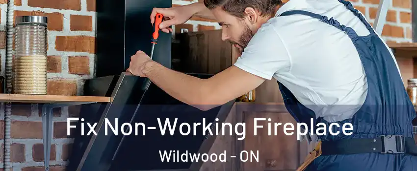 Fix Non-Working Fireplace Wildwood - ON