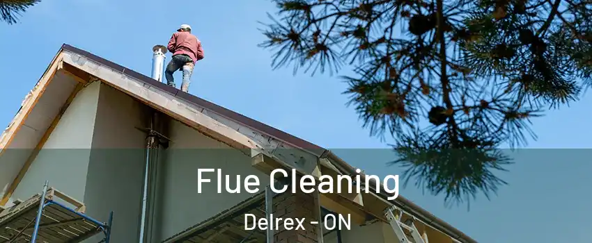 Flue Cleaning Delrex - ON
