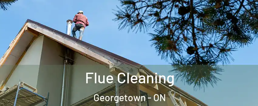 Flue Cleaning Georgetown - ON