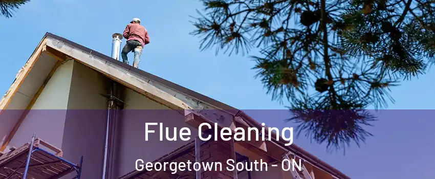 Flue Cleaning Georgetown South - ON
