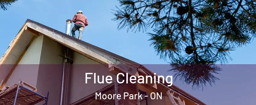  Flue Cleaning Moore Park - ON