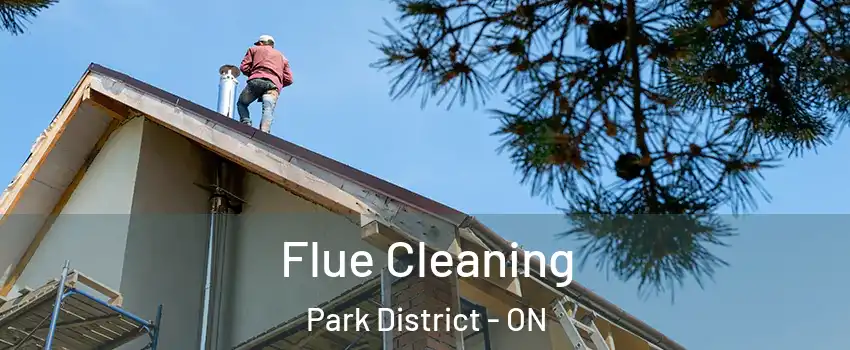 Flue Cleaning Park District - ON