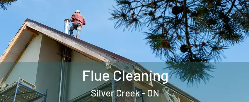 Flue Cleaning Silver Creek - ON