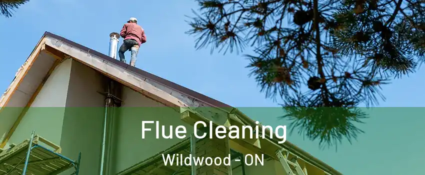  Flue Cleaning Wildwood - ON