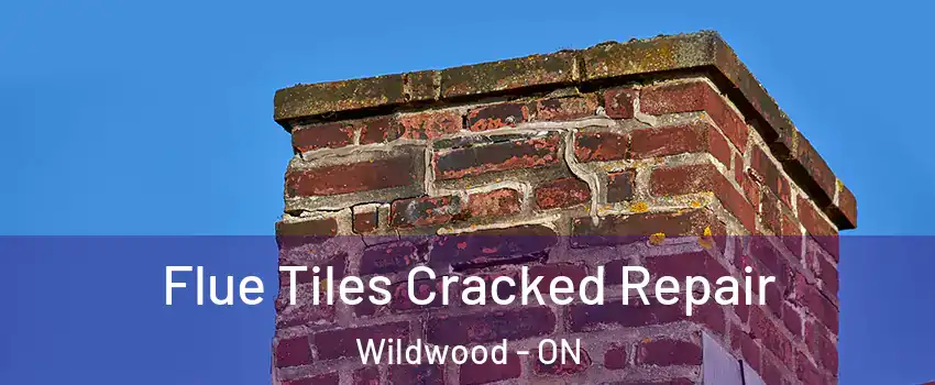 Flue Tiles Cracked Repair Wildwood - ON