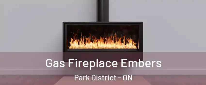 Gas Fireplace Embers Park District - ON