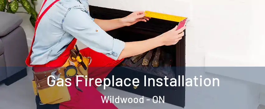 Gas Fireplace Installation Wildwood - ON