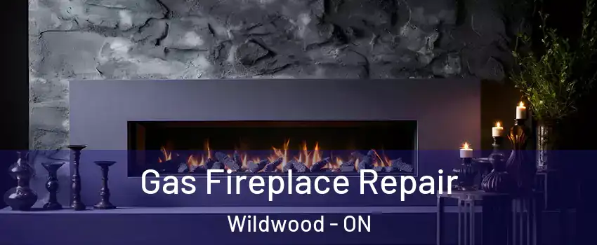 Gas Fireplace Repair Wildwood - ON