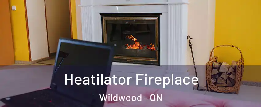Heatilator Fireplace Wildwood - ON