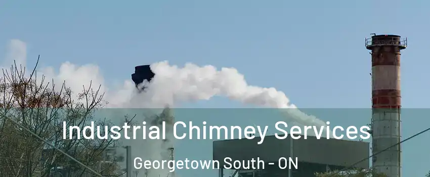 Industrial Chimney Services Georgetown South - ON