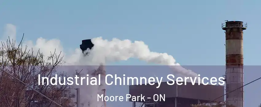  Industrial Chimney Services Moore Park - ON