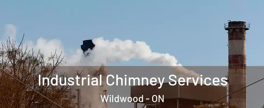 Industrial Chimney Services Wildwood - ON