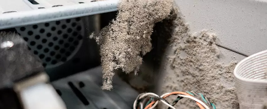 Clogged Dryer Vent Lint Cleaning in Georgetown, Ontario
