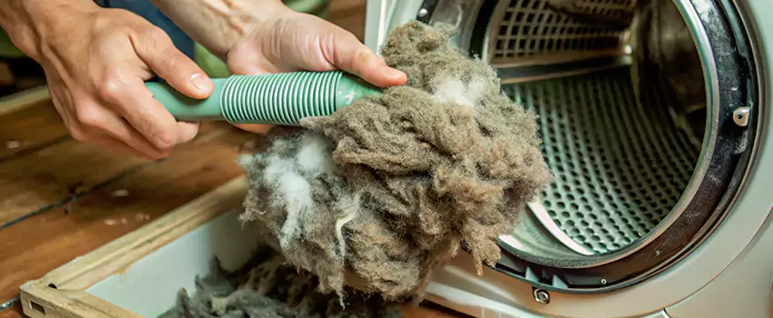 Best Dryer Lint Removal Company in Moore Park, Ontario