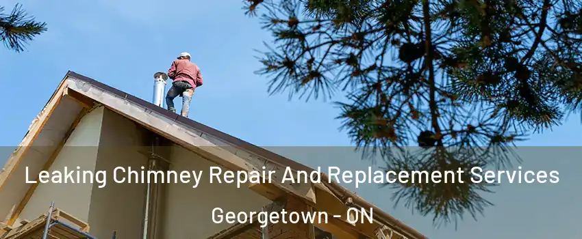  Leaking Chimney Repair And Replacement Services Georgetown - ON