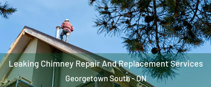 Leaking Chimney Repair And Replacement Services Georgetown South - ON