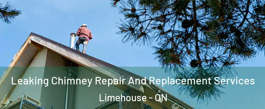Leaking Chimney Repair And Replacement Services Limehouse - ON