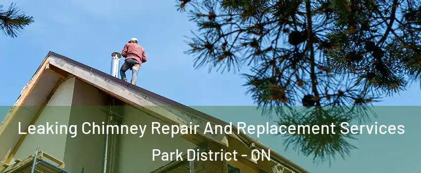 Leaking Chimney Repair And Replacement Services Park District - ON