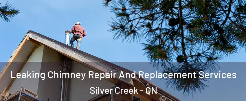  Leaking Chimney Repair And Replacement Services Silver Creek - ON