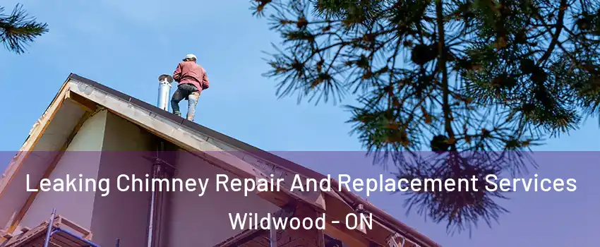  Leaking Chimney Repair And Replacement Services Wildwood - ON
